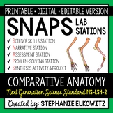 MS-LS4-2 Comparative Anatomy Lab Activity | Printable, Dig