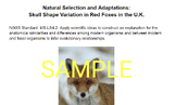 MS-LS4-2 Natural Selection and Adaptations: Skull Shape Va