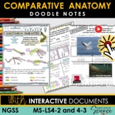 MS LS4-2 and 4-3 Evolution Comparative Anatomy Doodle Note