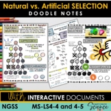 MS LS4-4 and 4-5 Natural Selection Doodle Notes  + Interac