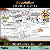 MS LS4-6 Adaptation Doodle Notes  + Interactive Tool  | Sc