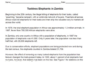 Preview of MS-LS4-6 Tuskless Elephants in Zambia (CER Writing Prompt)