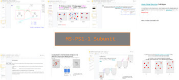 Preview of Developing Molecular Models MS-PS1-1 Subunit