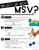 MSV Error Analysis Sheet