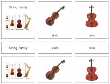 Preview of MU004 (PDF) STRING family (3 part cards) (2pgs)