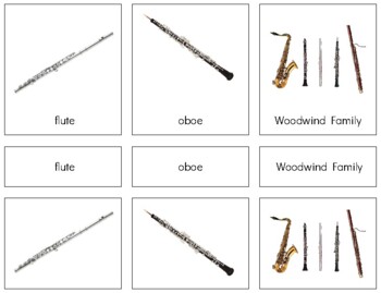 Preview of MU009 (PDF): WOODWIND family (3 part cards) (2pgs)