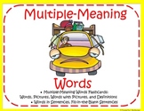 MULTIPLE MEANING WORDS
