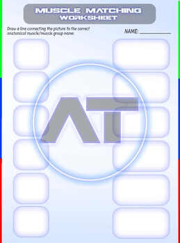 Preview of MUSCLE MATCHING Anatomy Worksheet - TEMPLATE  |  By AlgoThink