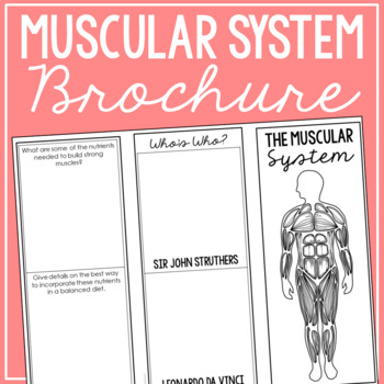 MUSCULAR SYSTEM: Anatomy Science Research Project | Vocabulary Notes  Activity