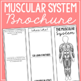 MUSCULAR SYSTEM: Anatomy Science Research Project | Vocabu