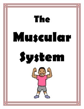 Preview of MUSCULAR SYSTEM UNIT