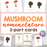 MUSHROOM Montessori Nomenclature 3 Part Cards, Fungi, Types of Mushrooms