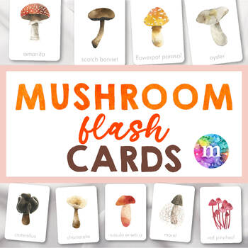 Preview of MUSHROOM UNIT Montessori Flash Cards, Autumn, Fall theme for Baby and Toddlers