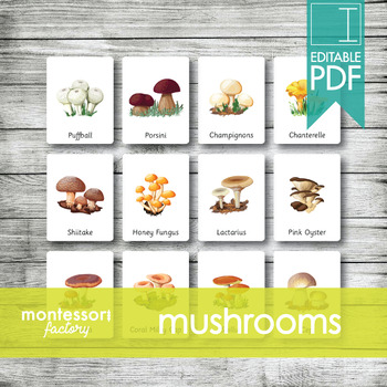 Preview of MUSHROOMS • Montessori Cards • Flash Cards • Three Part Cards