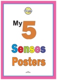 MY FIVE SENSES