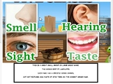 MY FIVE SENSES GAME OR LESSON HANDOUTS