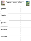 MY VIEW LITERACY BY PEARSON-A HOME ON THE PRAIRIE-WDP VOCABULARY