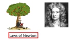 MYP physics Laws of Newton presentation + quiz