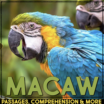 Preview of Macaw Reading Passage & Comprehension Activities Nonfiction Rainforest Animals