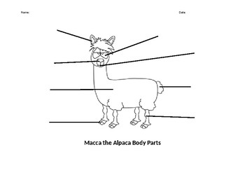 Preview of Macca the Alpaca label the body parts
