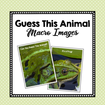 Preview of Macro Animal Photo Guessing Game | Animal Science Unit | Animal Game