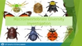 Macroinvertebrate Diversity Internet Investigation
