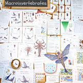 Macroinvertebrates: a hands-on aquatic ecology unit!