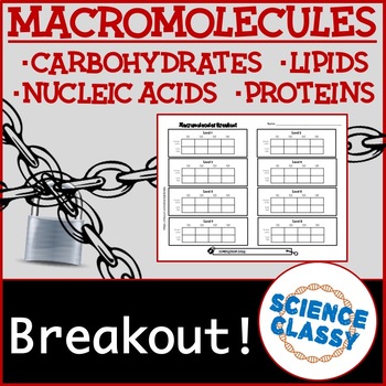 Preview of Macromolecule Breakout Activity