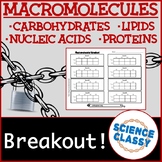 Macromolecule Breakout Activity