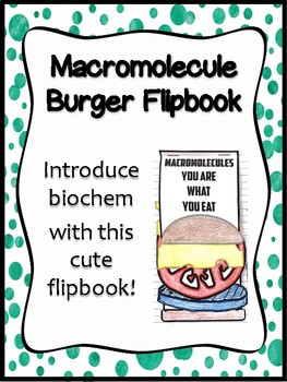 Preview of Macromolecule Burger Flipbook *INB*