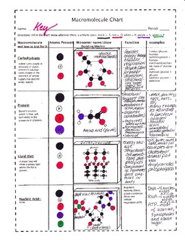 Biomolecules Chart Answers
