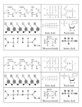 Biomolecules Chart Answers