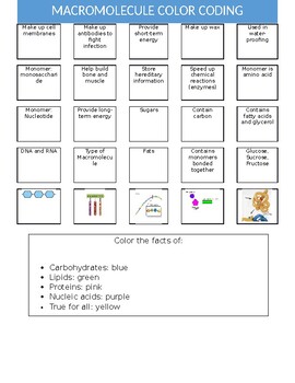 organic molecule worksheet coloring pages