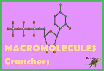 Preview of Macromolecule Cruncher