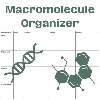 Preview of Macromolecule Organization Table