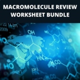 Macromolecule Review Worksheets