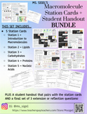 Macromolecule Station Cards + Student Handout BUNDLE