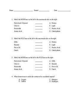 Macromolecule Worksheet / Quiz (includes key) by Shawna Blake TPT