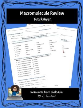 29 Macromolecules Worksheet High School - Worksheet Resource Plans