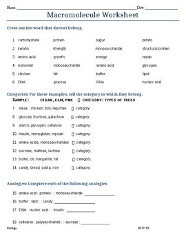 biochemistry worksheet pdf