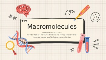 Preview of Macromolecules/ Biomolecule- Monomer & Polymer Structure