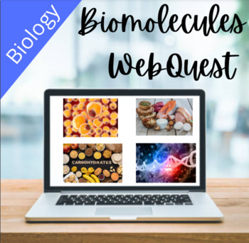 Preview of Macromolecules (Biomolecules) Introductory WebQuest- EASY VIRTUAL