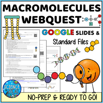 Preview of Macromolecules Webquest - Biomolecules / Organic Compounds Webquest
