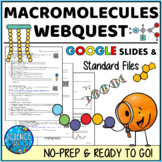 Macromolecules Webquest - Biomolecules / Organic Compounds