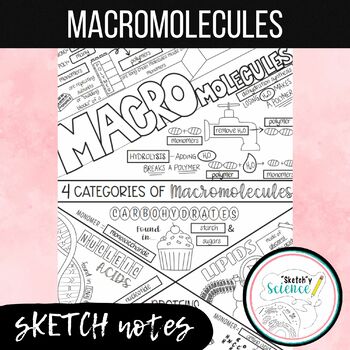 Preview of Macromolecules/ Biomolecules Sketch Notes (Doodle Notes)