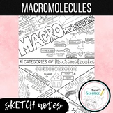 Macromolecules/ Biomolecules Sketch Notes (Doodle Notes)