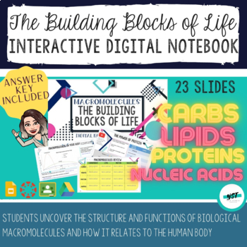 Preview of Macromolecules: Building Blocks of Life Interactive Digital Notebook