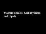 Macromolecules: Carbohydrates and Lipids PowerPoint Lectur
