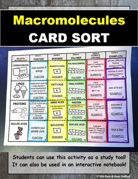 Preview of Macromolecules Card Sort Activity