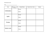 Macromolecules Chart Worksheets & Teaching Resources | TpT